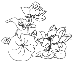 f64.gif (35679 字节)